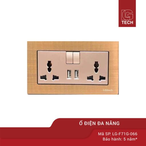 Ổ cắm điện hàn quốc mặt đôi cao cấp chính hãng LG-F71-066 1