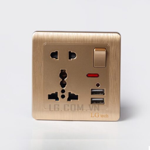 Mặt điện 5 chấu vuông có cổng USB Gold Plate LG tech LG-C60-029 2