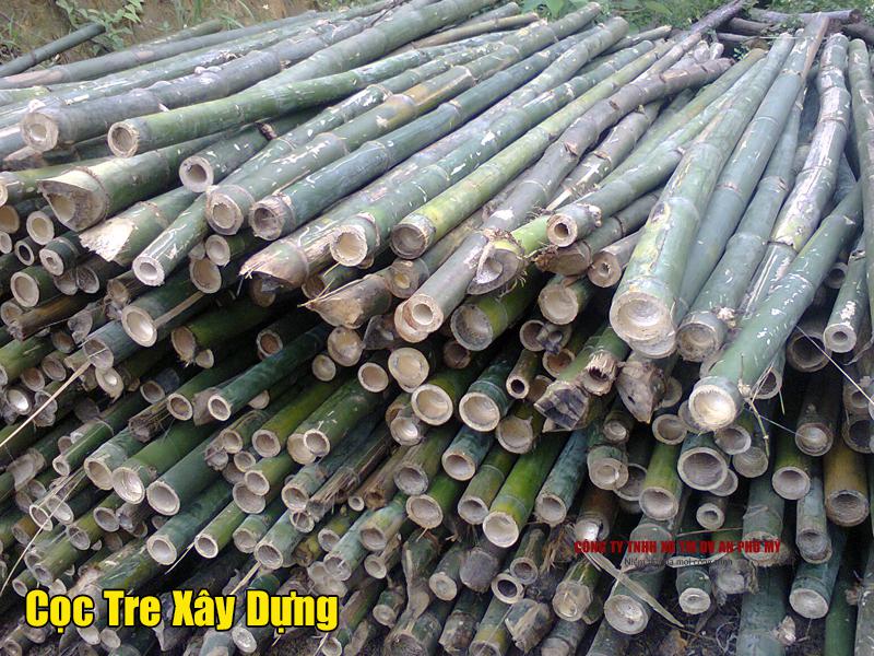 Gioi thieu ve coc tre trong xay dung