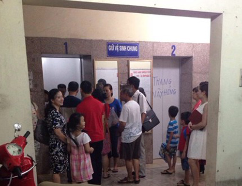 giathangmayoidia41 giá thang máy nội địa