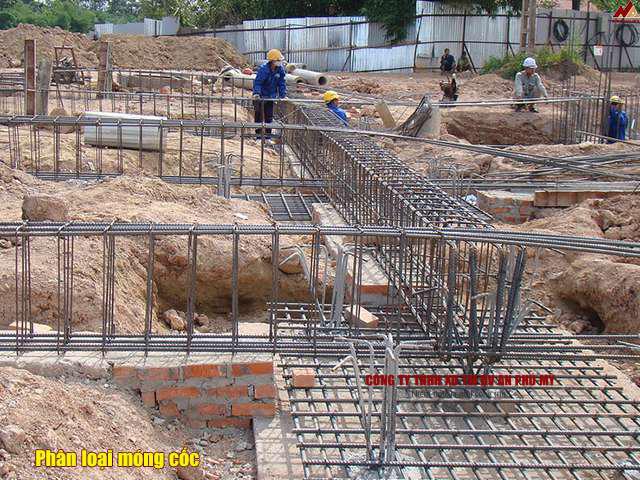 Phân loại móng cốc