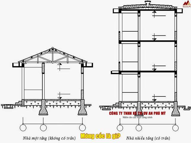 Móng cốc là gì?