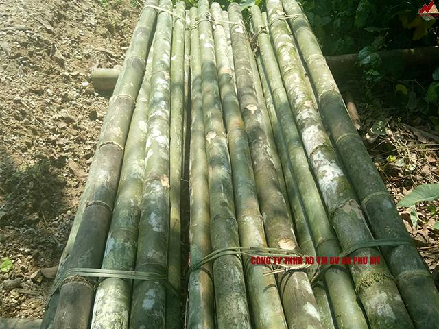 Một vài lưu ý quan trọng mà bạn không nên bỏ qua khi thi công