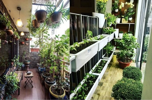 hiet-ke-ban-cong-chung-cu-dep-phong-cach-san-vuon-tu-trung-hieu-an-moc_e9f5fa479c344963bd128b10ec95f9e1_grande Thiết kế ban công chung cư theo phong cách sân vườn