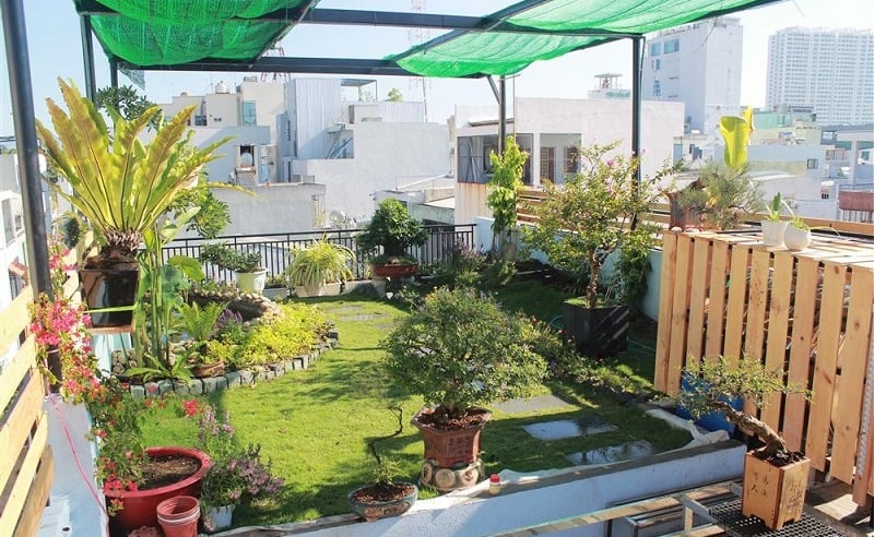 Trang trí sân thượng