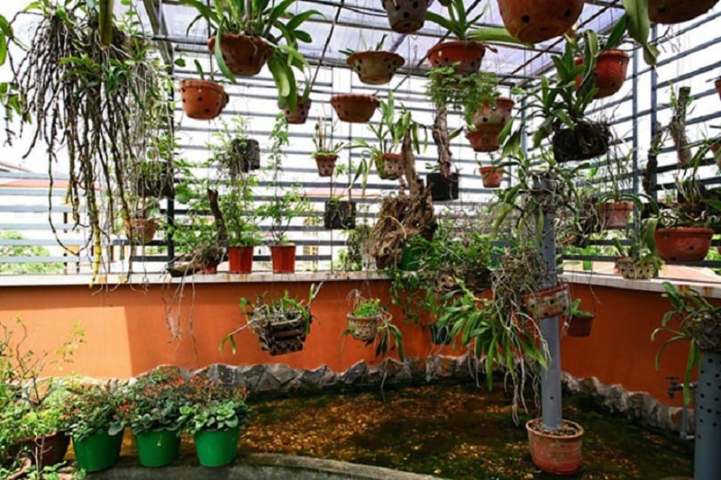 Trang trí sân thượng