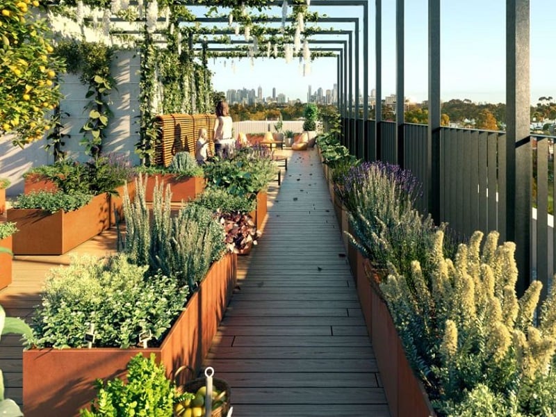 Trang trí sân thượng