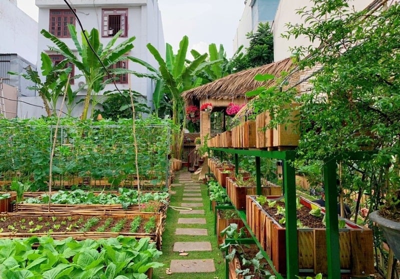 mẫu đèn trang trí sân vườn