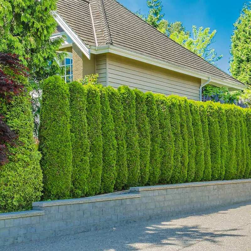 trang trí sân vườn biệt thự