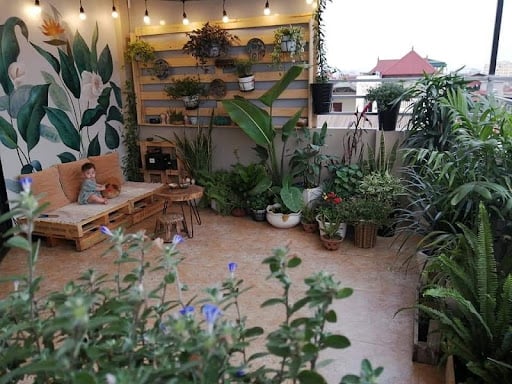 Trang trí sân thượng