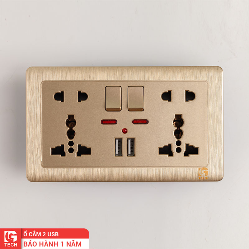 Ổ cắm công tắc đôi hình chữ nhật mạ vàng, 2 USB | LG-C60-066