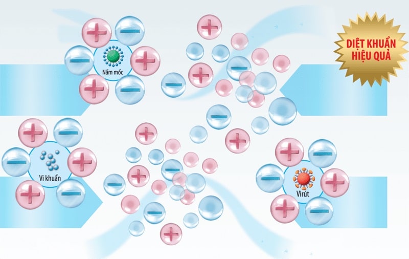 Virus corona là gì ? 3 tính năng của máy lọc không khí tiêu diệt chúng 3