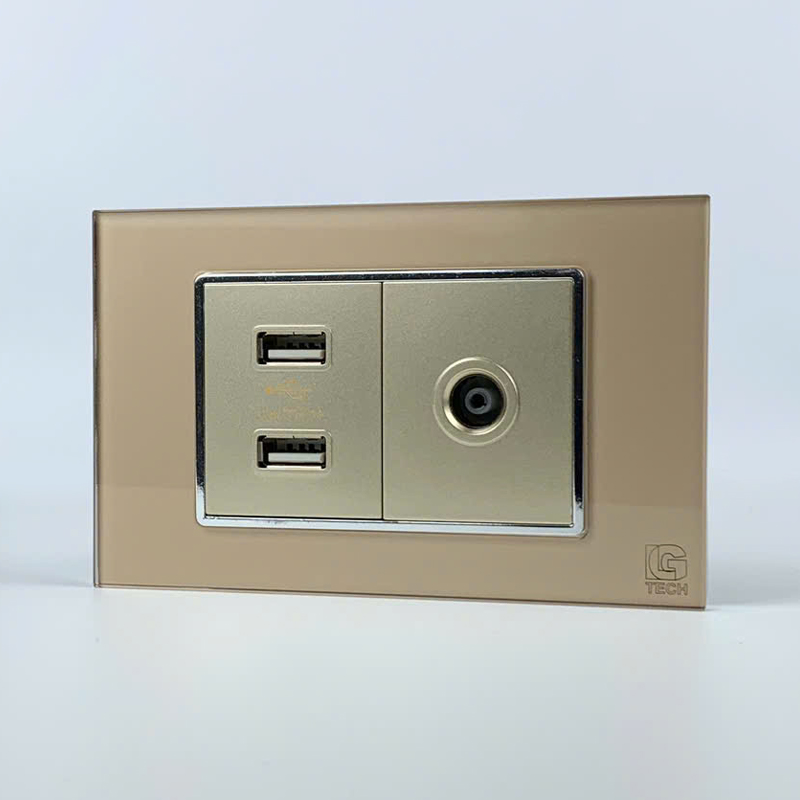 Mô đun ổ cắm USB 2 cổng và ổ cắm tivi, size 36mm viền kính màu gold LG Tech 2 Mô đun ổ cắm USB 2 cổng và ổ cắm tivi, size 36mm viền kính màu gold LG Tech