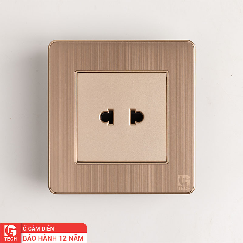 Ổ cắm 2 chấu màu vàng đồng LG-AB-L-050