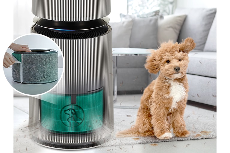 Máy lọc không khí LG PuriCare360 Alpha PET 1 tầng - AS65GDBY0 - Hàng chính hãng 11